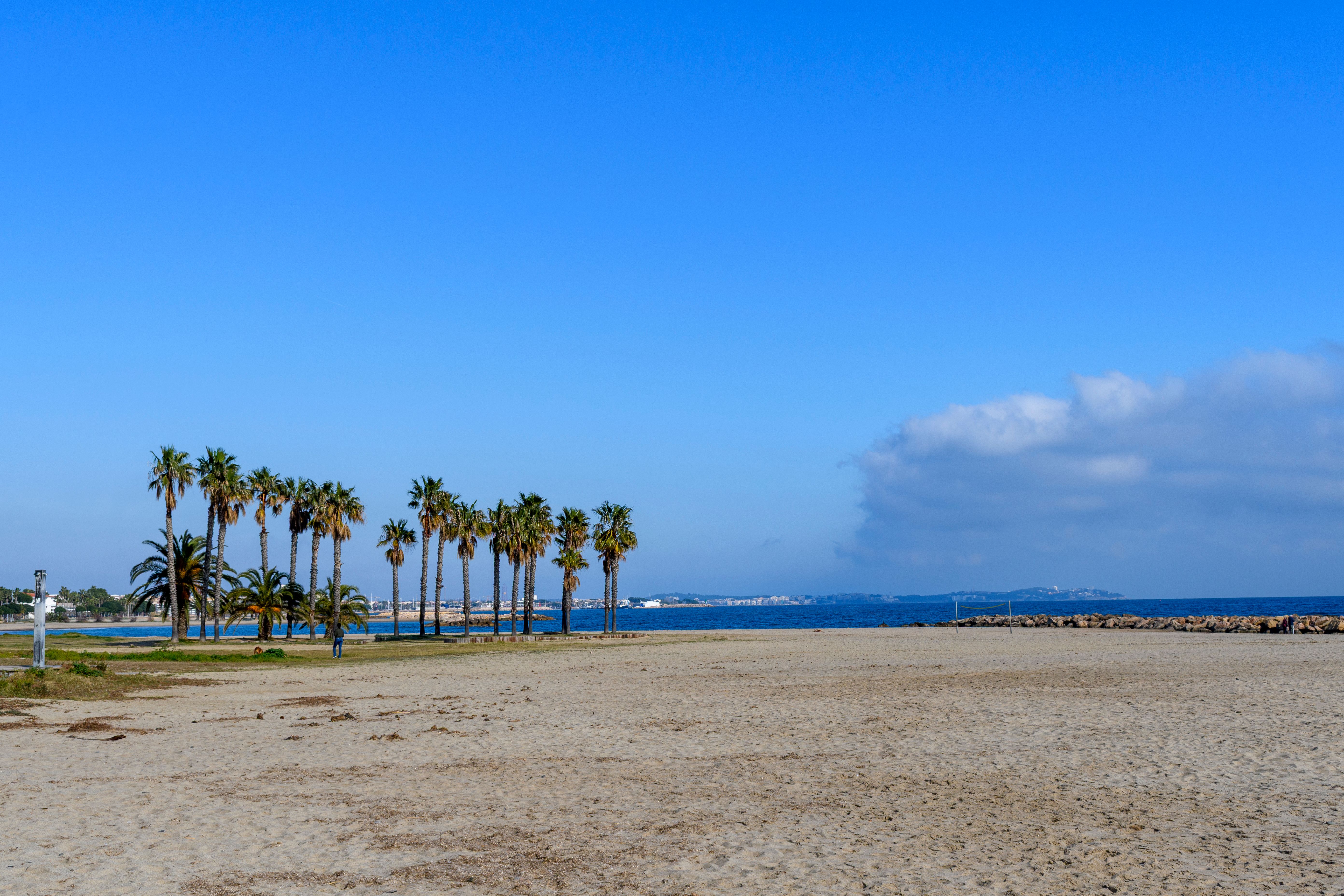 Playa de palmeras en Salou
